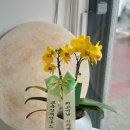 평광초등학교 이미지