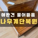 금남면사무소 | 강아지 계단 물어뜯음 복층오피스텔 원목계단 복원 사례
