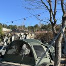 무릉도원 | 반려견동반 캠핑🐶 가평 무릉도원 캠핑장 대 07 사이트 후기