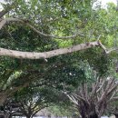 신성공원 이미지