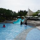 힐튼 경주 실내수영장 이미지