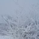 인제16-2 이미지