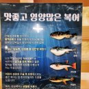 삼호복집 | 경기도 오산 맛집, 삼호복집 복지리 후기(복어 효능), 보양식 추천