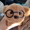 삼일식당 | 울진여행 맛집| 울진 삼일식당 전복가자미물회 대구탕 내돈내산후기