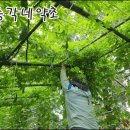 후천농장 이미지