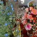 화장농장 이미지