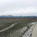 세포삼거리 이미지