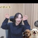 짱구노래나라 이미지