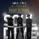 소울 다이브 카카오 검색결과