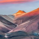 so tree farm 이미지