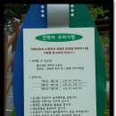 [대구여행]쓰레기 매립지를 최고의 수목원으로 변화시켰다? 그곳은 어디? 대구수목원.. 이미지