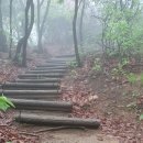 안양만안답교놀이 | 초보산꾼 발길 닿는 곳 : ​ 수리산修理山(안양.군포) .. 새롭게 산을 알아가는 친구 덕분에 다시 찾은...