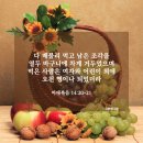 열두바구니