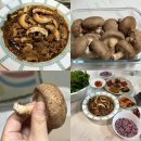 금성표고농장