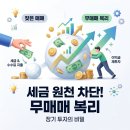 주식투자와 자산관리 | 미국 주식 투자 후기: 월배당 ETF 대신 ‘안 파는 종목’ 선택해 자산 폭발시킨 비결