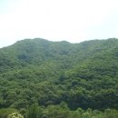 광공인중개사사무소 이미지