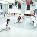 용인대석사백인태권도장 이미지