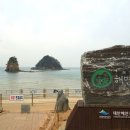 꽃지해송