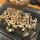 풍천수산 | [판교 맛집] 동진수산 풍천장어