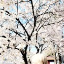 새절역1번출구 이미지