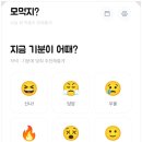 모먹지 이미지
