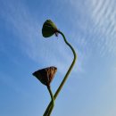 연자농장 이미지