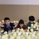도담육 이미지