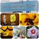 등대마을지역아동센터 네이버블로그