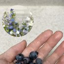 백승진농장 이미지