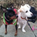 보리콩이네 이미지