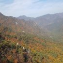남산 이미지