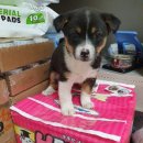 첨단산업1로 이미지