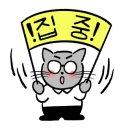 신진미헤어테라피