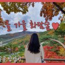 화담 이미지