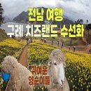 황금빛 목장 이미지