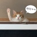 문치킨 네이버블로그