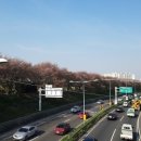 목동교 화장실 이미지