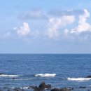 자광원 | 0716 제주여행 5일차: 제주 하멜, 숙성도, 카페 탠저린, 이드레 국수/ 다시 돌아온 서귀포 뚜벅이들!