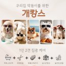 호텔 몽 이미지