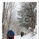 한일맛집 이미지