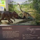 SOS박물관(휴관) | 🇰🇷 국립과천과학관 후기 (1편)입장 &amp; 첨단기술관, 자연사관 체험기 🚀🦖