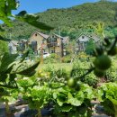 무주펜션선앤문 이미지