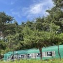 부산시설공단 곰내지소 | 기장 한정식 현지인들에게 입소문난 오래된 맛집, 곰내연밭식당