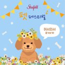 펫페스티벌 이미지