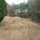 옥원2리마을회관 이미지