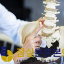 잠실튼튼본의원 이미지