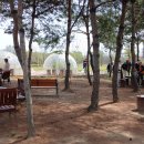 호수공원14로 Daum카페