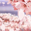 (주)인디자인연구소 이미지