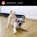 호텔어썸 이미지