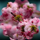 2026.03.04(D) : Spring has Come 이미지